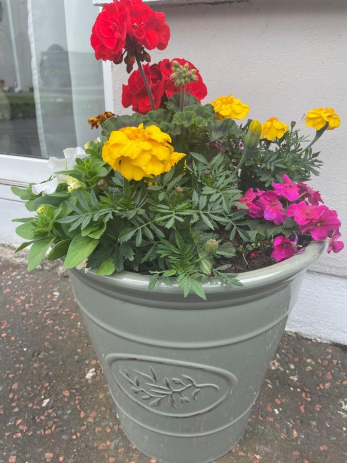 Unique Belfast Stay Exteriör bild
